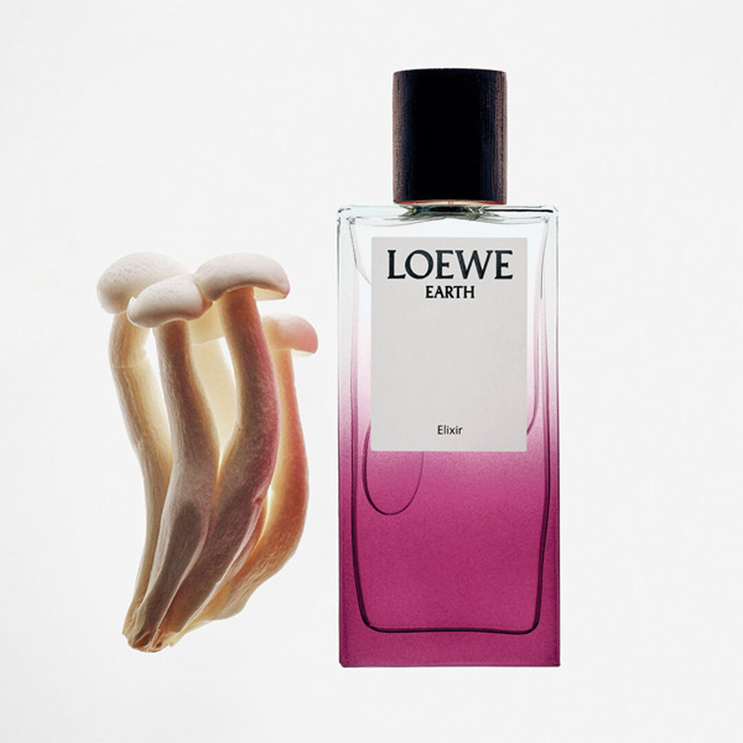 LOEWE LOEWE EARTH Elixir - Eau de Parfum - 50ml