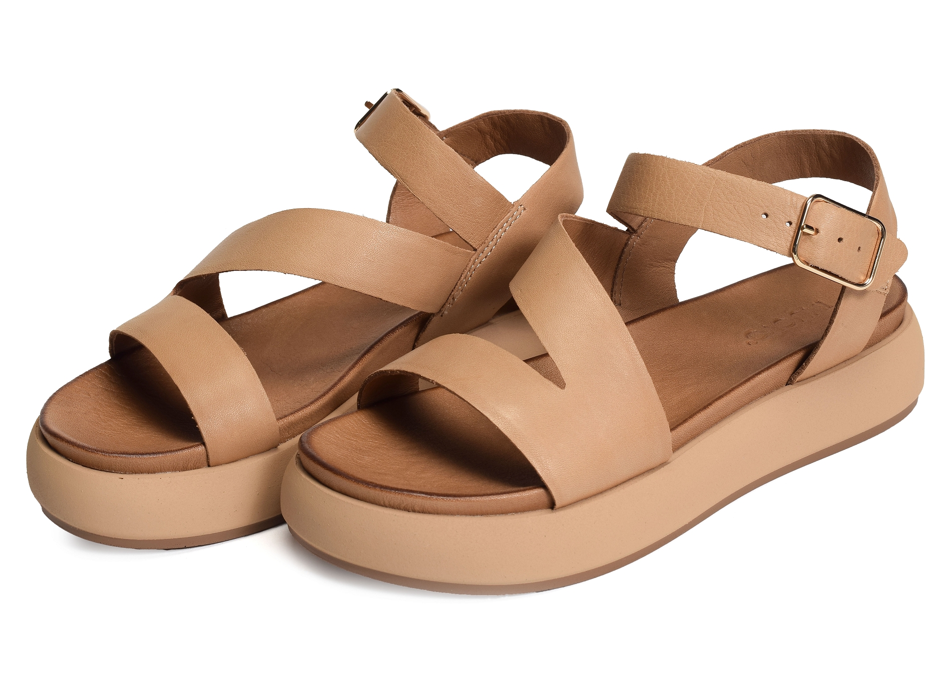 A96001 camel