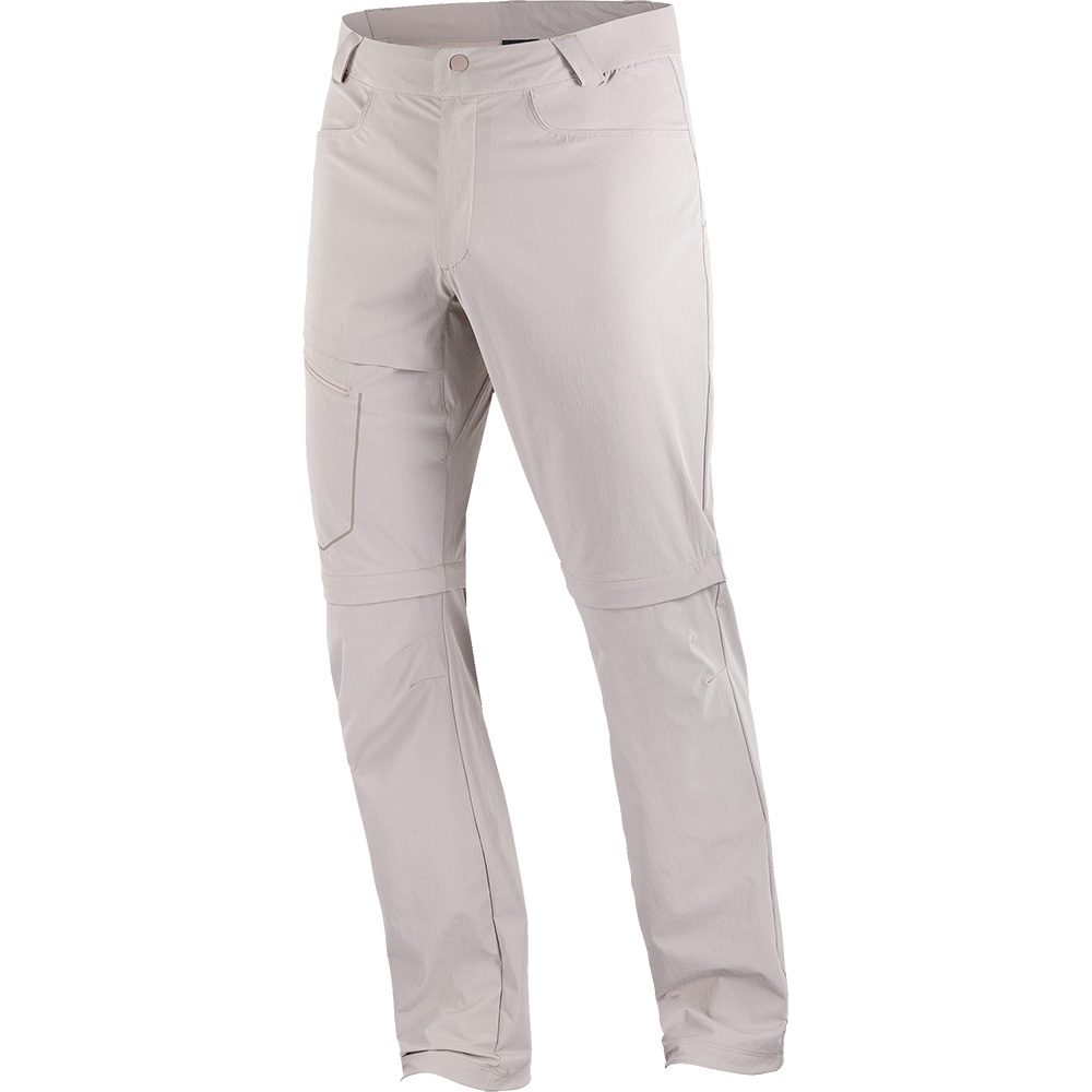 Salomon Wayfarer Zip-Off Hose Herren etherea