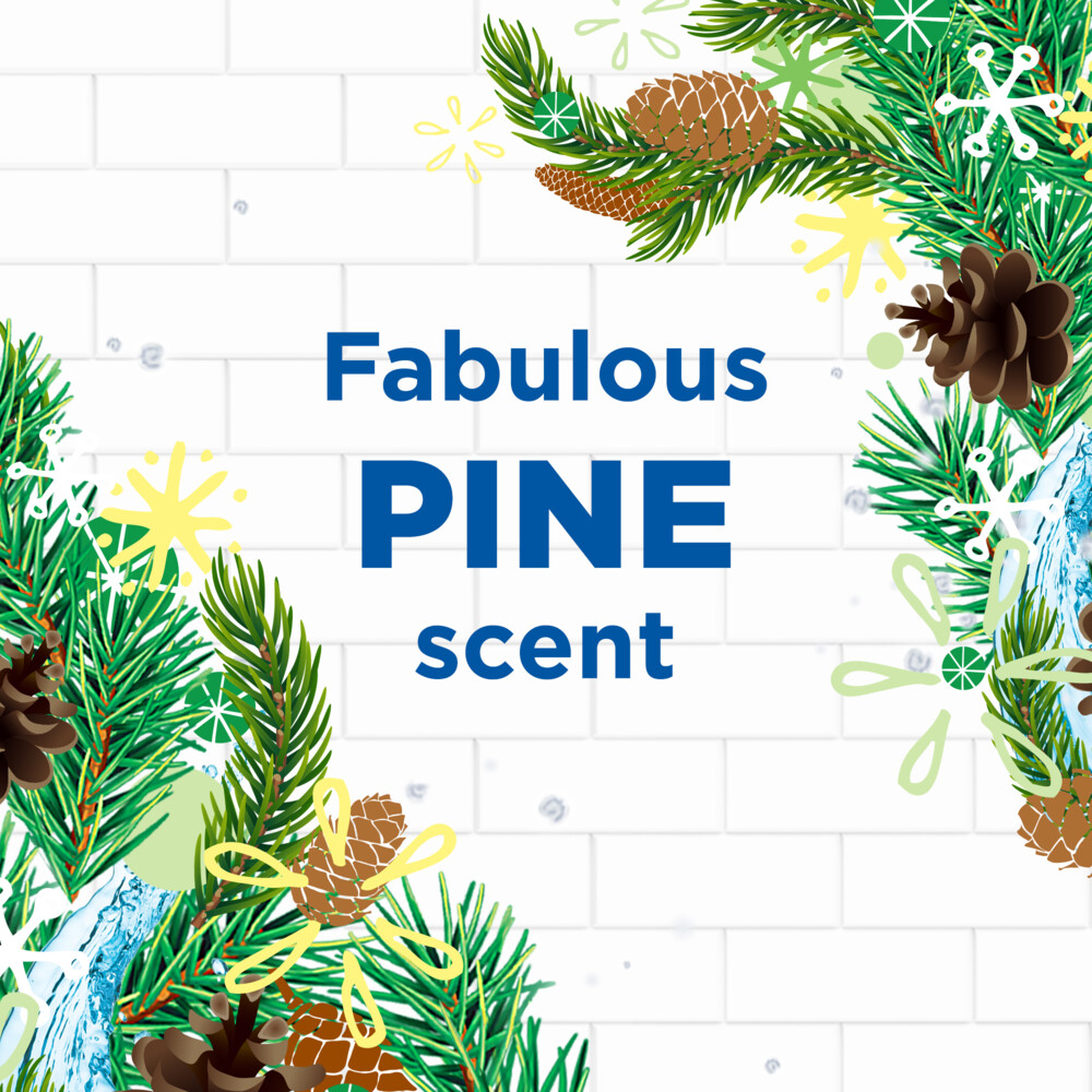 WC Eend Toiletblok Pine Fresh40 GR