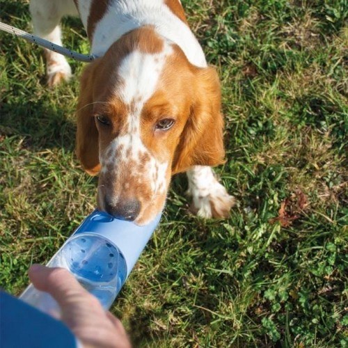 Tigela de água portátil para cães EULIQUID rosa