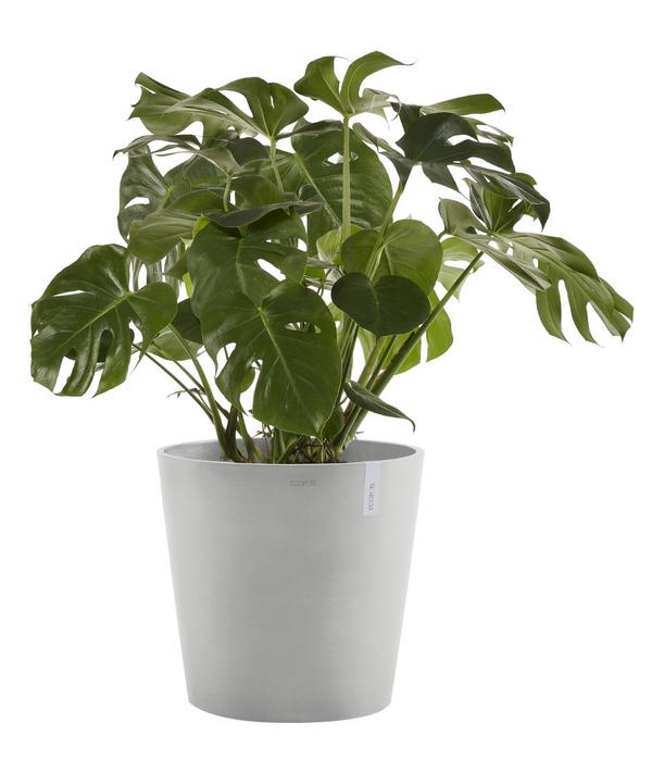 Ecopots Kunststoff-Topf Amsterdam mit