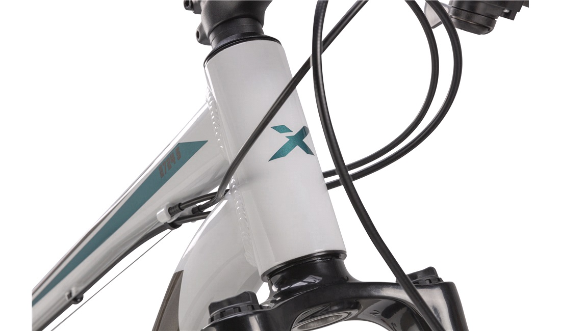 Mountainbike 2724 27,5