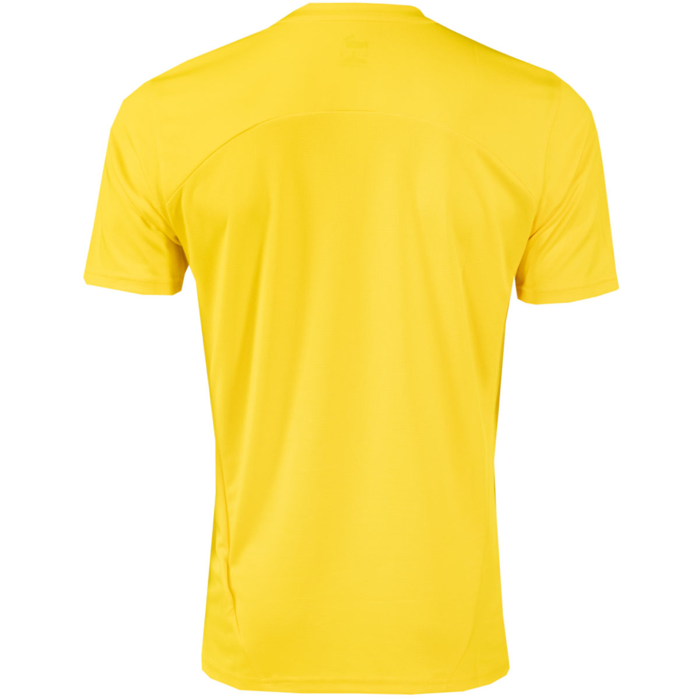 PUMA Borussia Dortmund Trainingsset 2024-2025 Geel Zwart