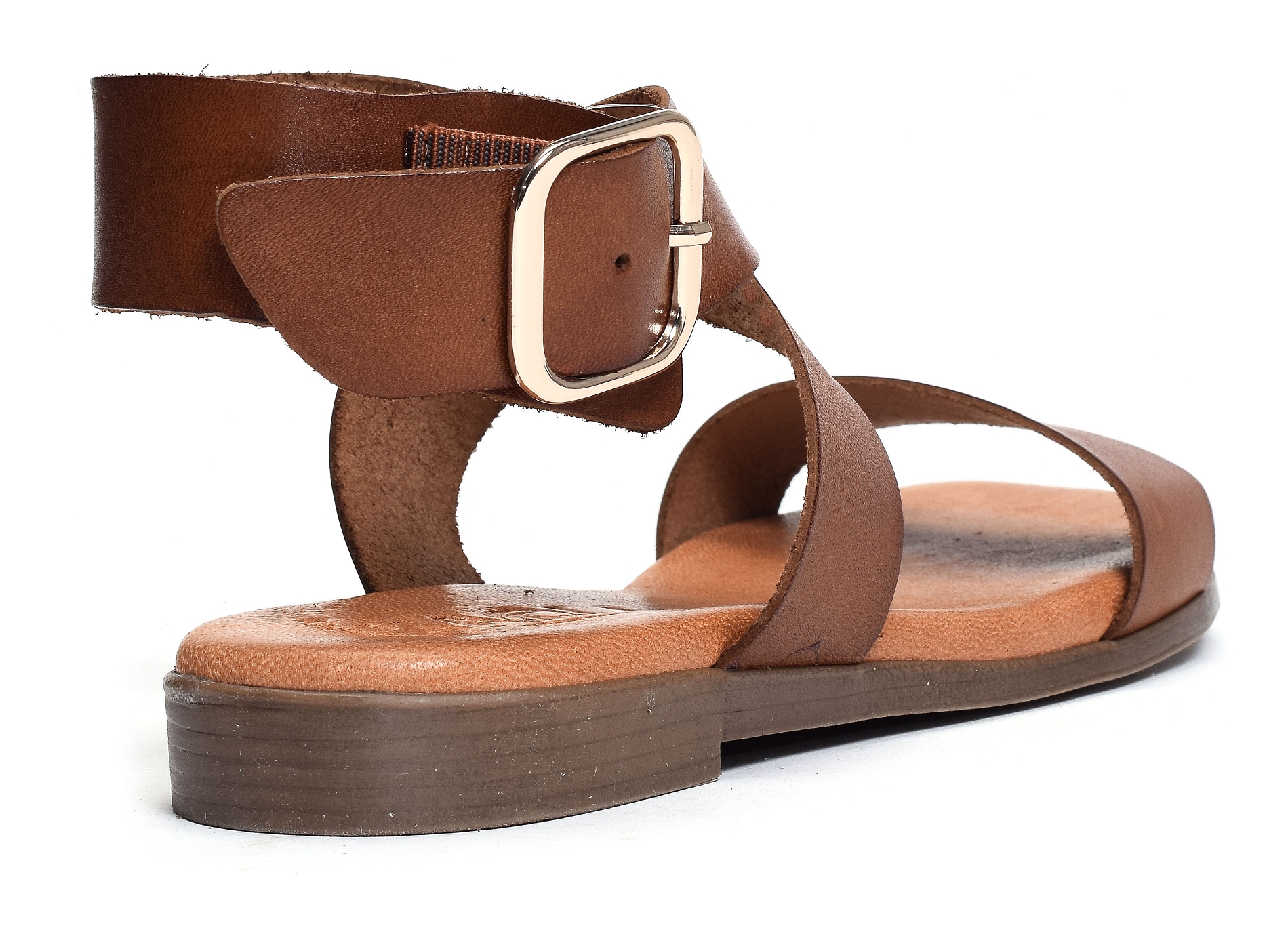 1359 camel
