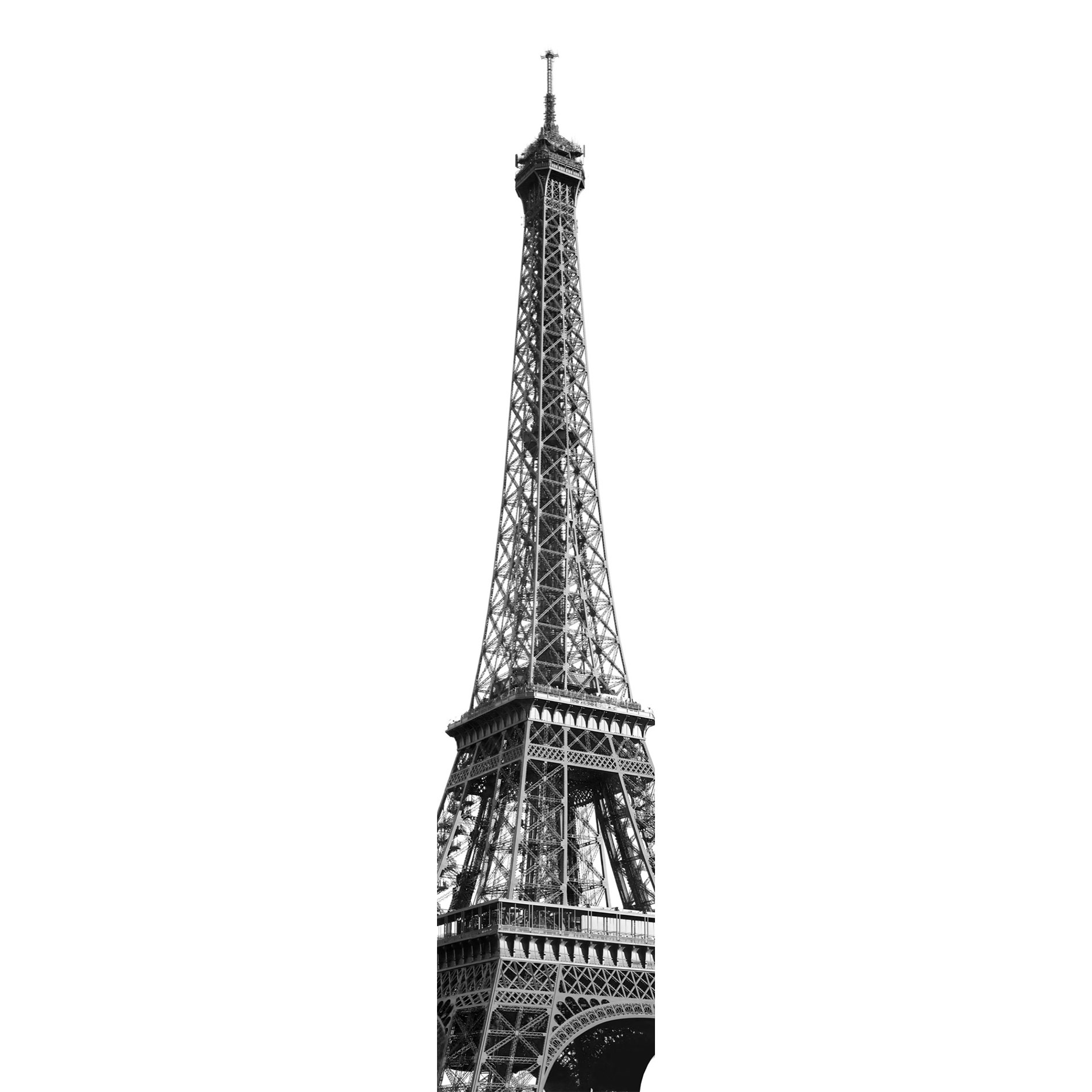 Vlies-Fototapete TOUR EIFFE - grau - 50x250 cm
