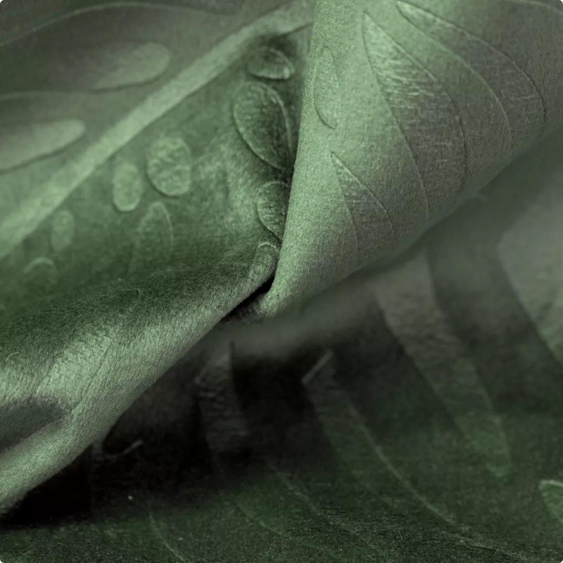 Rideau obscurcissant velours (180 x 260 cm) Fern Vert romarin