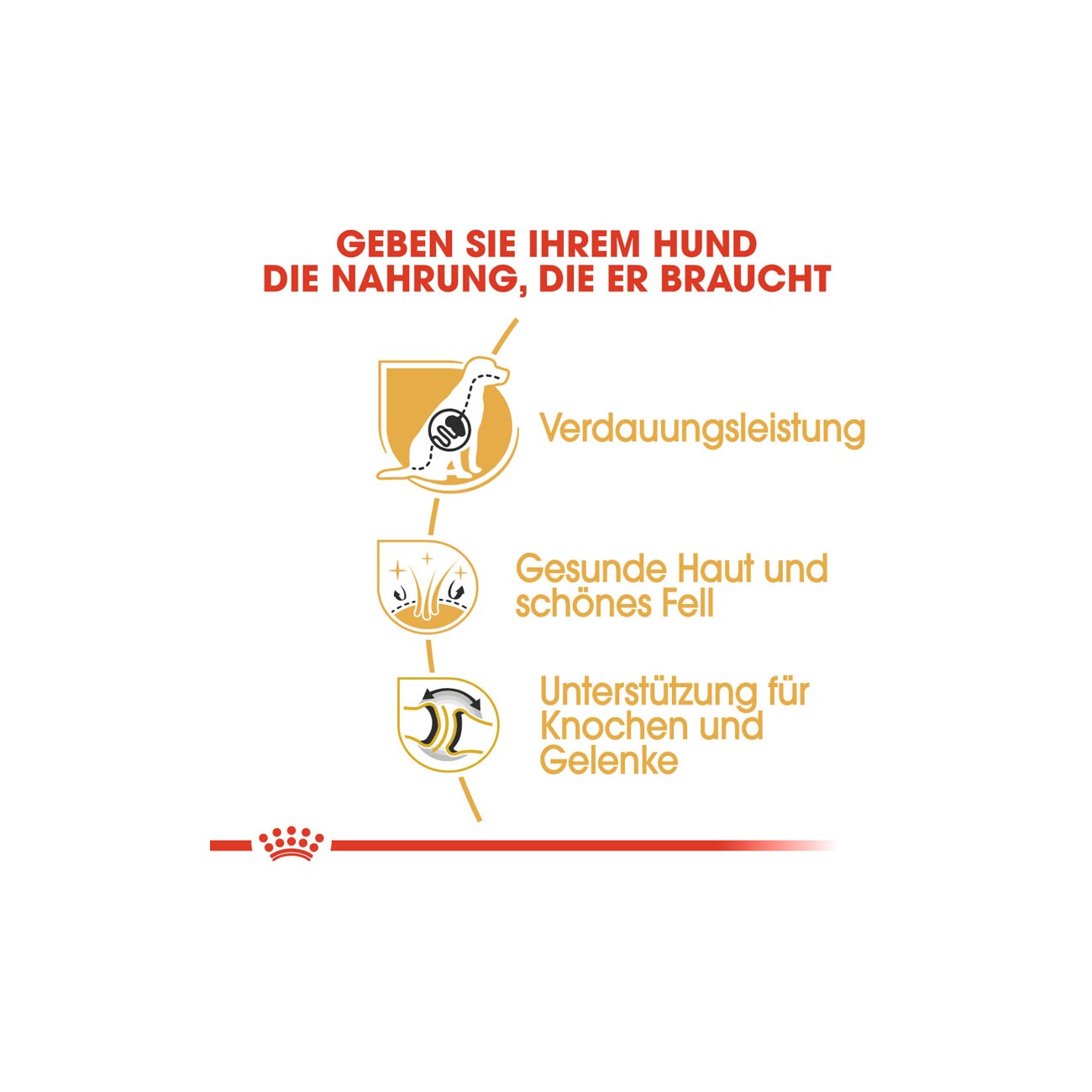 ROYAL CANIN Deutscher Schäferhund Adult 11 kg