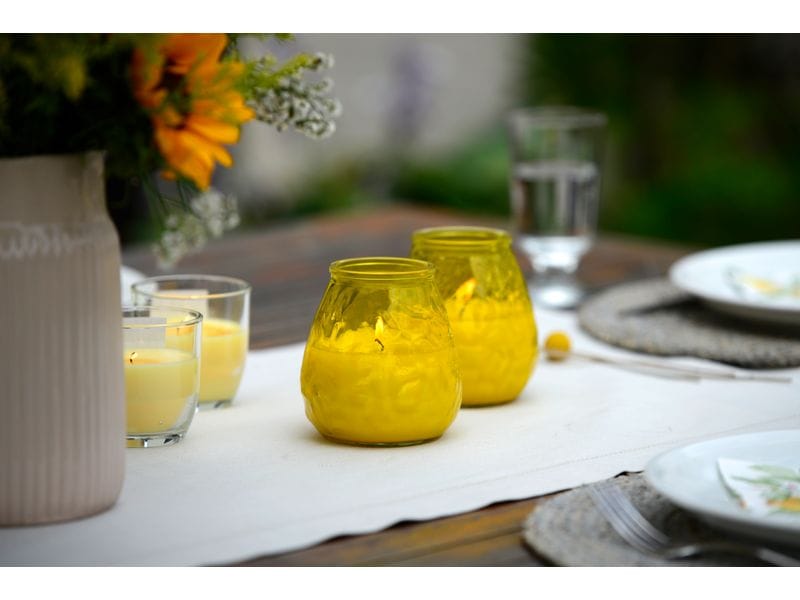 müller Kerzen Gartenkerze Citronella in Glas Anti-Mücken Kerze