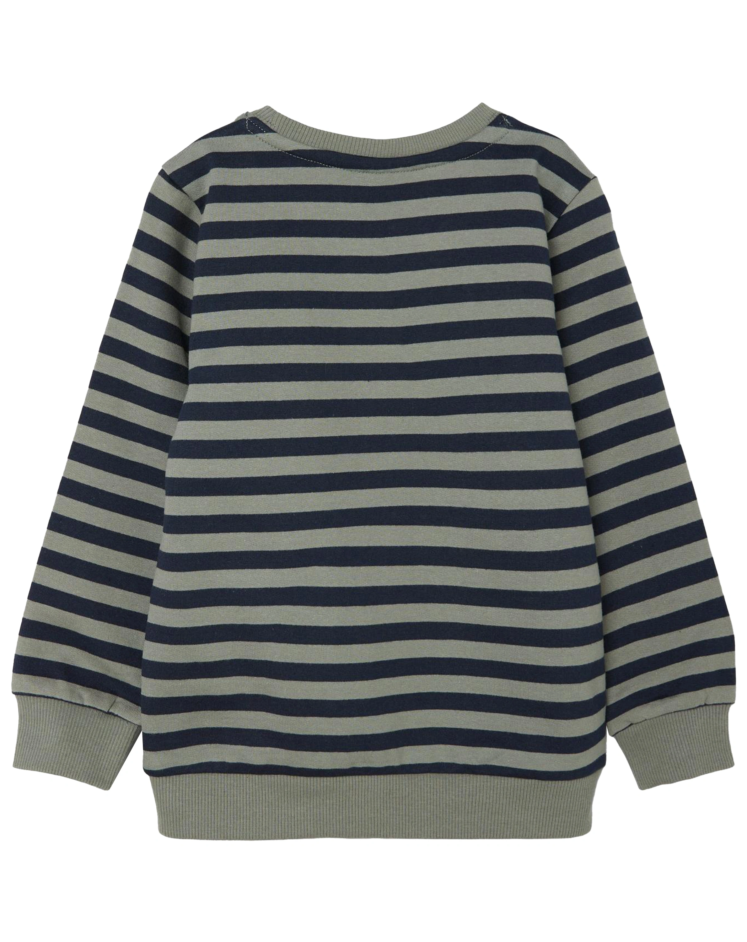 Sweatshirt NMMRANANDOG gestreift in agave green