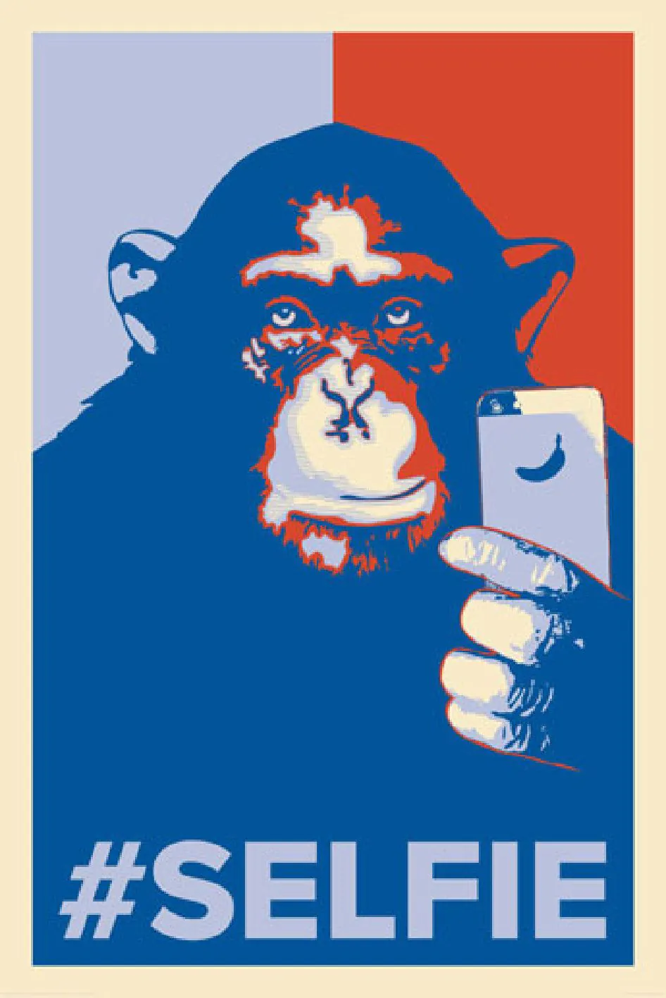 Poster Selfie Affe, 61 x 91 cm