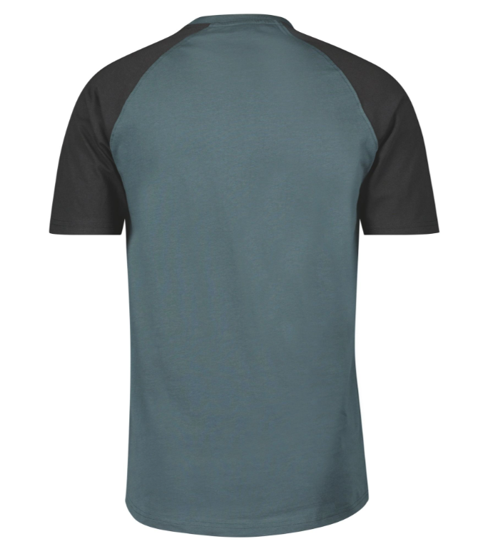 SCOTT Icon Raglan SS T-shirt, Grøn/Sort