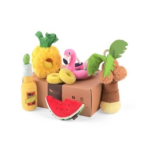 Brinquedos de pelúcia da coleção Tropical da Play Pet Lifestyle para cães - Pacote com 5 unidades