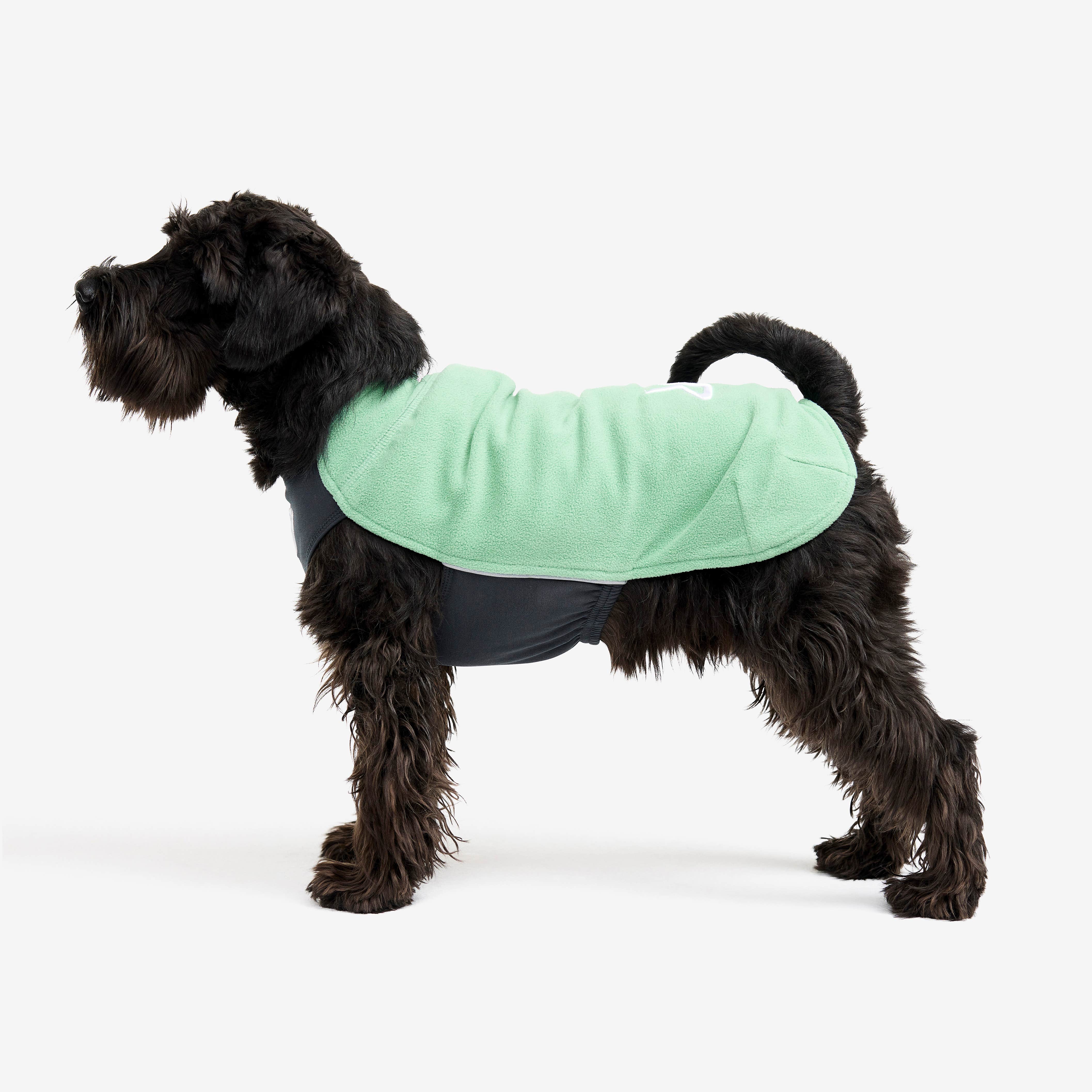 Trekker Fleece Hund Malachite Green