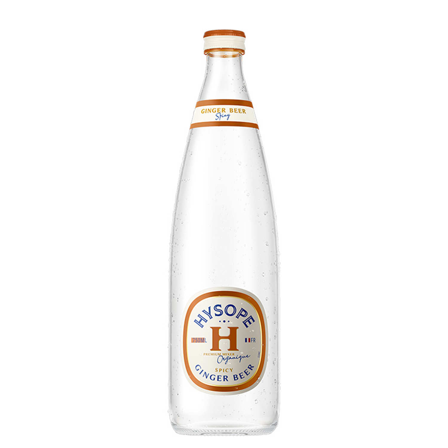 Ginger beer Hysope bio et française - Grand format