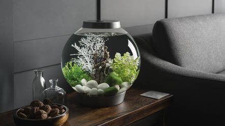 biOrb Classic 30 MCR Wit | Aquarium