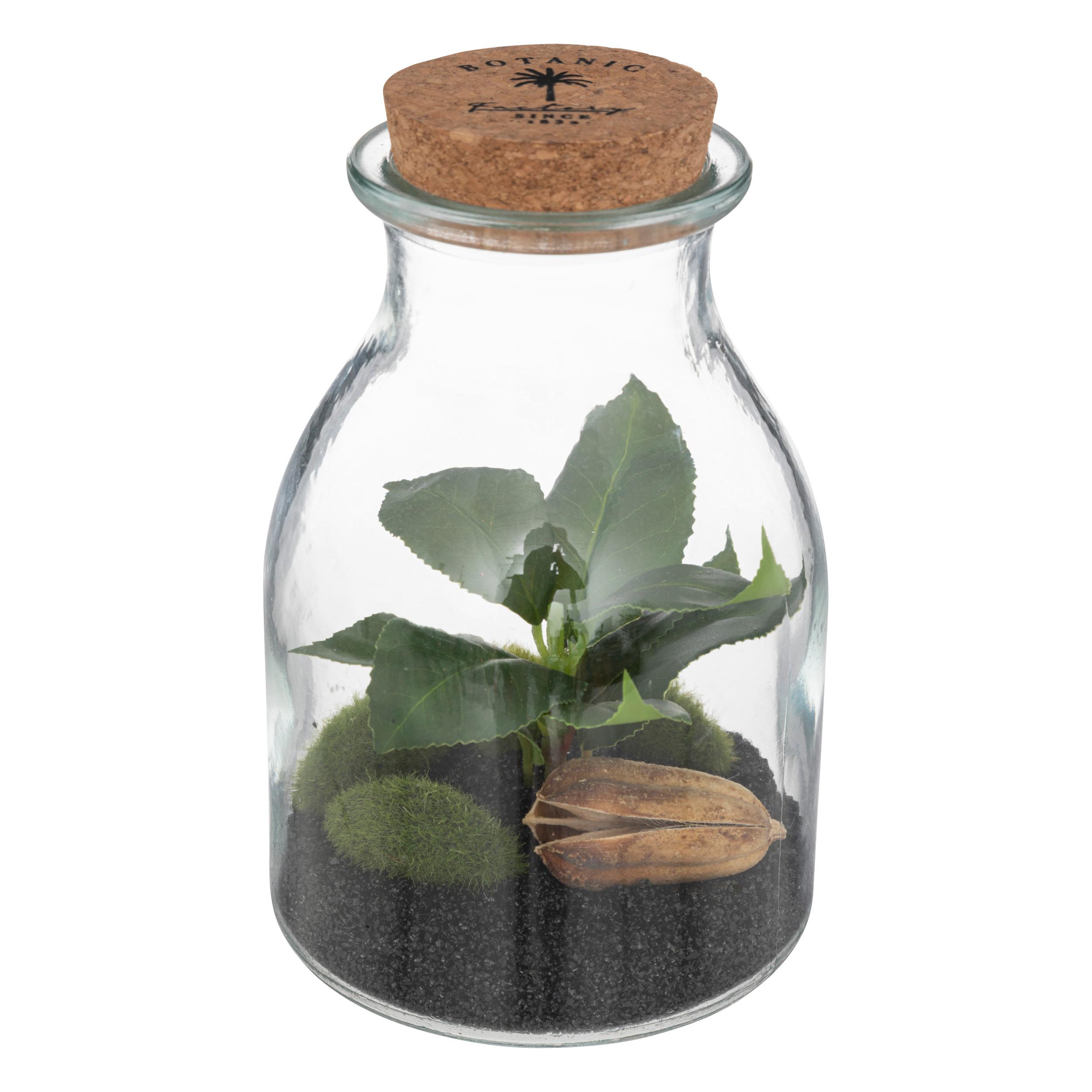 TERRARIUM VERRE BOTANIC H.19CM