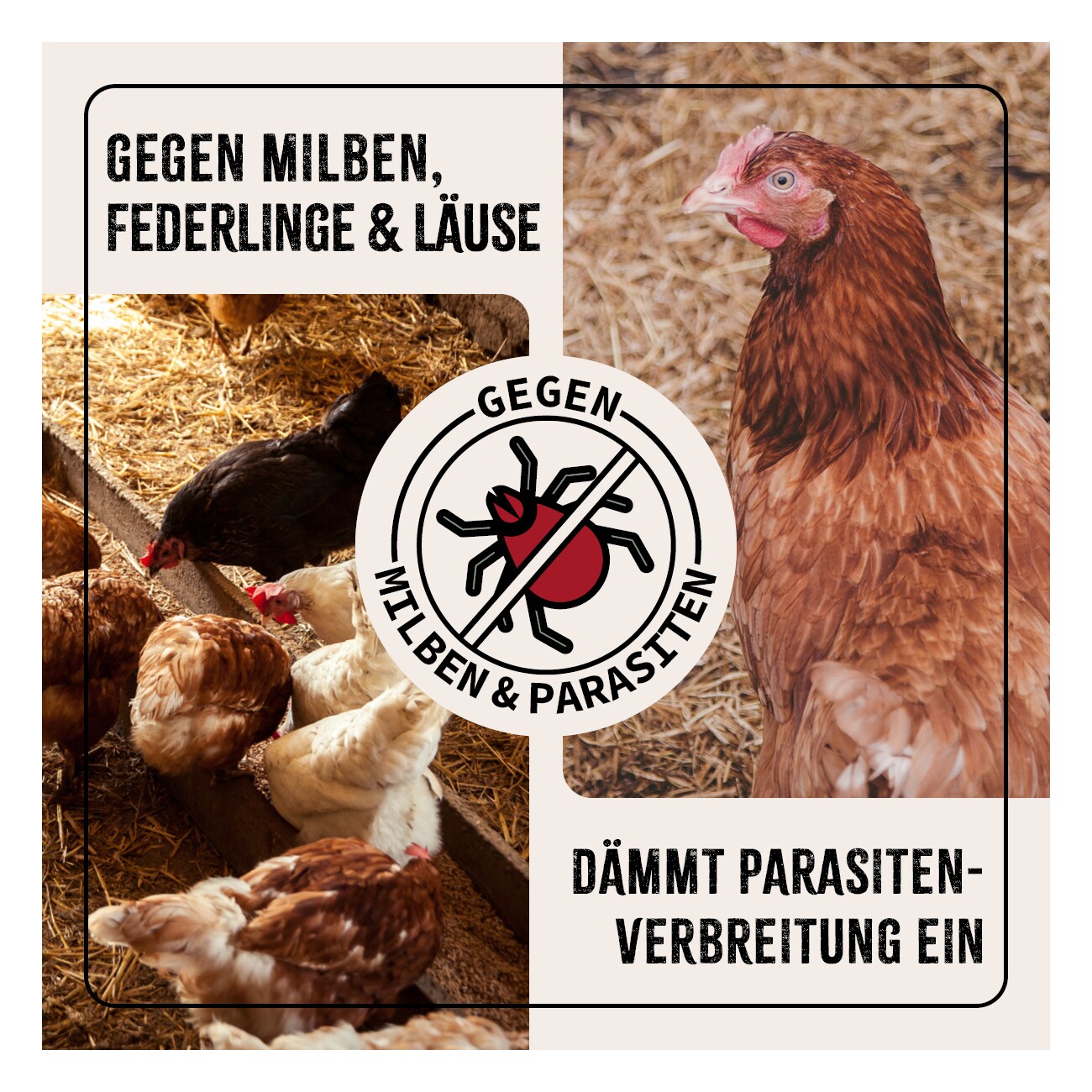 AniForte Milben STOP Spray für Hühner & Geflügel 500ml