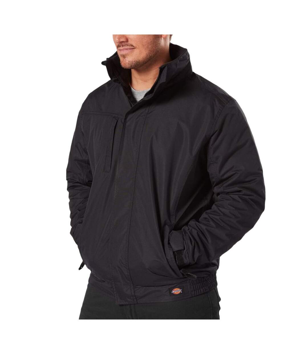 Veste Noire Homme Dickies Everyday