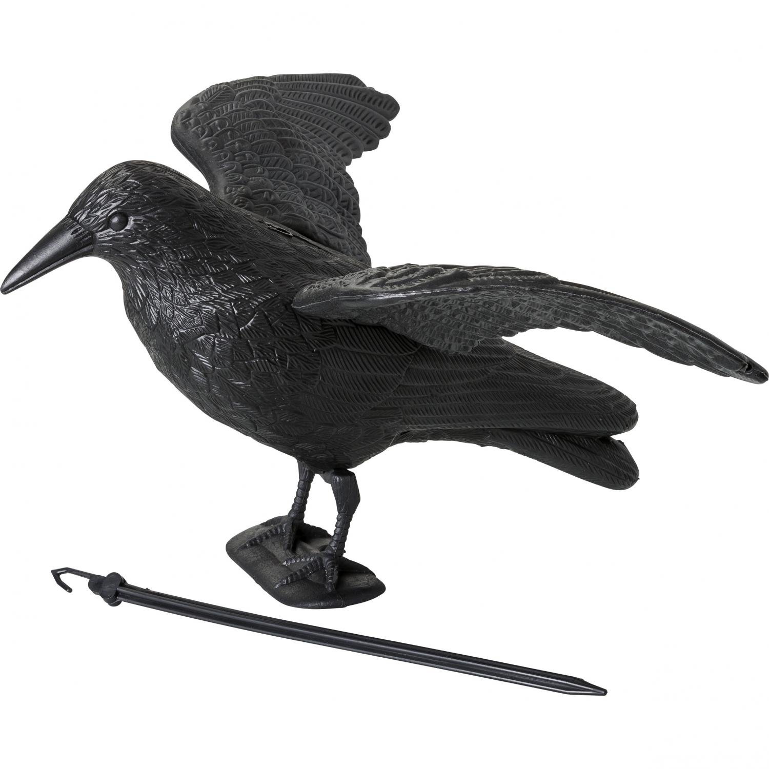 Flugkrähe