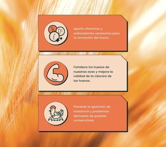 Cálcio para Galinhas | Suplemento Alimentar para Postura de Ovos, Prevenção da Bicada e Fortalecimento Ósseo | Frasco de 250ml