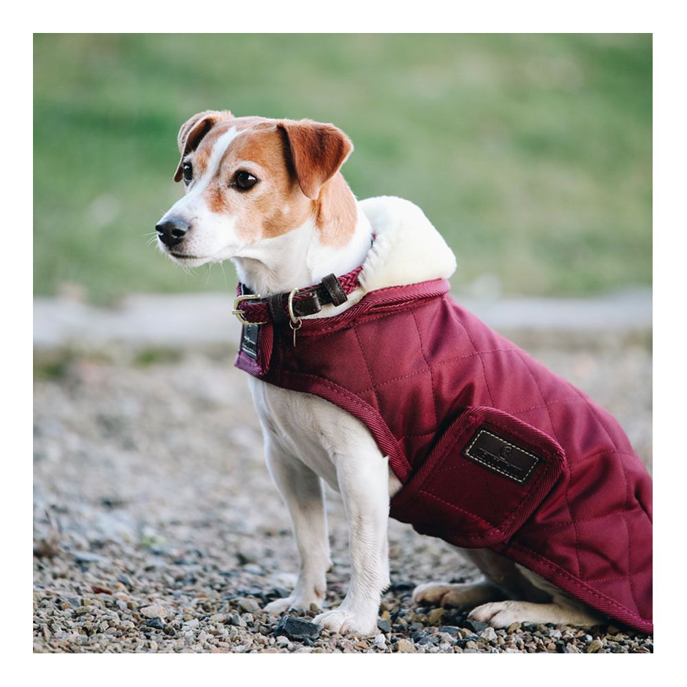 Kentucky ORIGINAL 160G - Couverture pour chien bordeaux