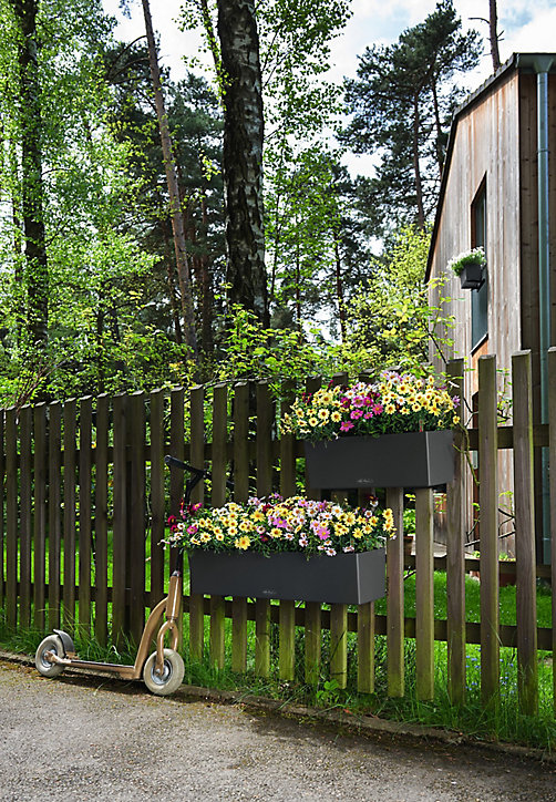 Jardinière plastique LECHUZA Balconera color gris 50 x 19 x h.19 cm