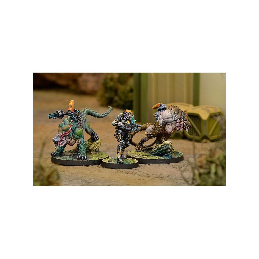 Infinity - Tohaa - Kerail Preceptors