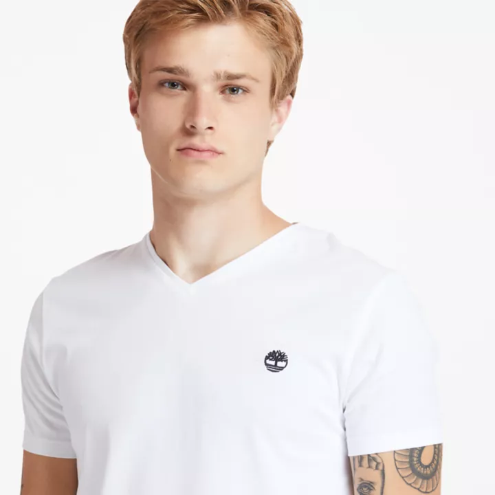 T-shirt Dunstan River pour homme en blanc
