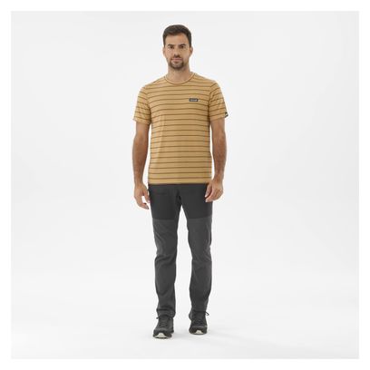 T-Shirt Technique Lafuma Tour Marron