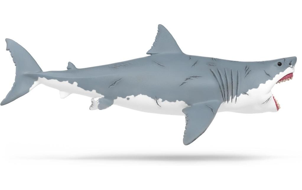 MegalodonDinosaurus
