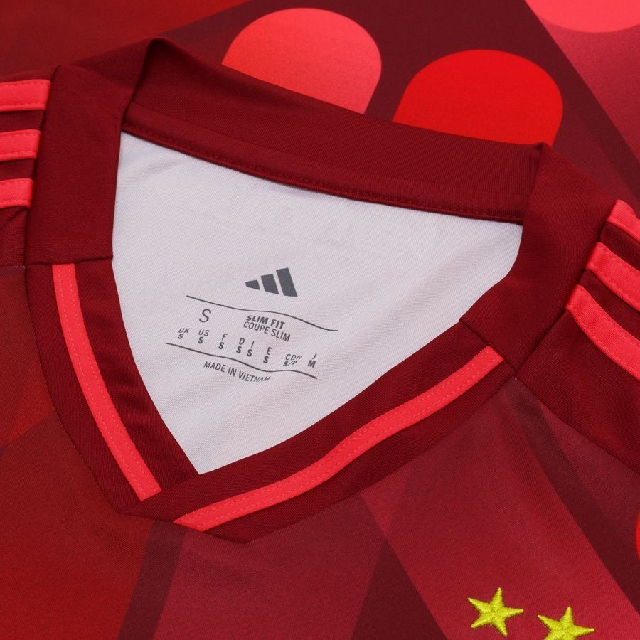 Allemagne Maillot Extérieur Women's EURO 2025