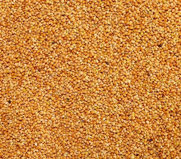 Dehner Lieblinge Gelbe Hirse, 1 kg