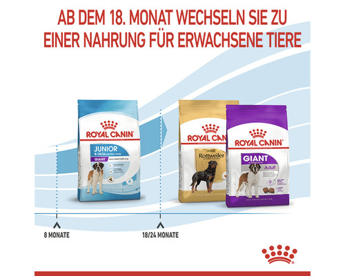 ROYAL CANIN Giant Junior droog hondenvoer voor puppy's van zeer grote rassen, 15 kg