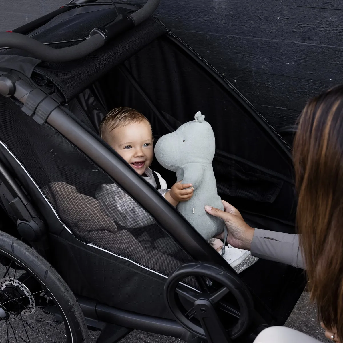 Thule Chariot Sport 1 G3 Black