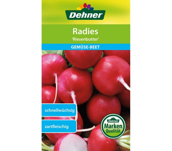Dehner Samen Radies 'Riesenbutter'