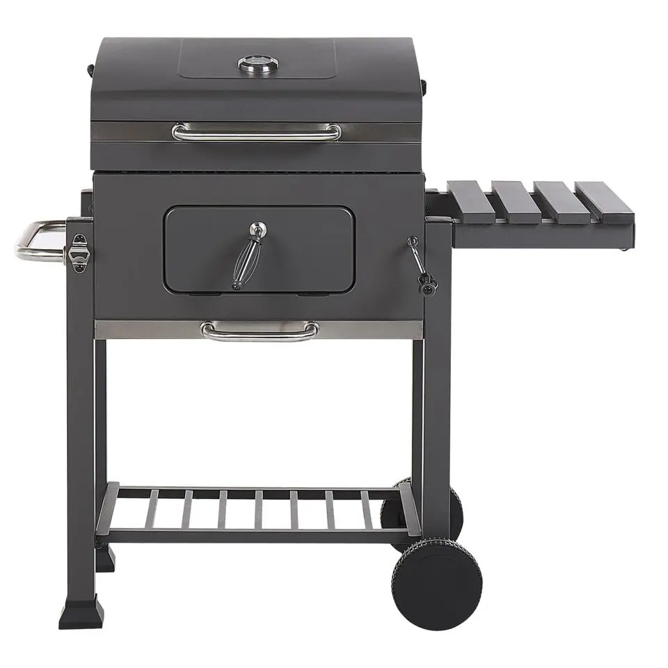 PAVLOF - Houtskoolgrill - Grijs - Staal