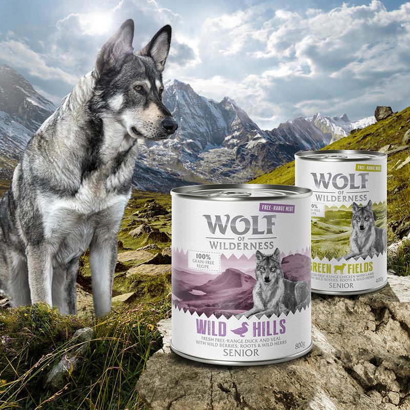 Wolf of Wilderness Senior Free Range 6 x 400 g