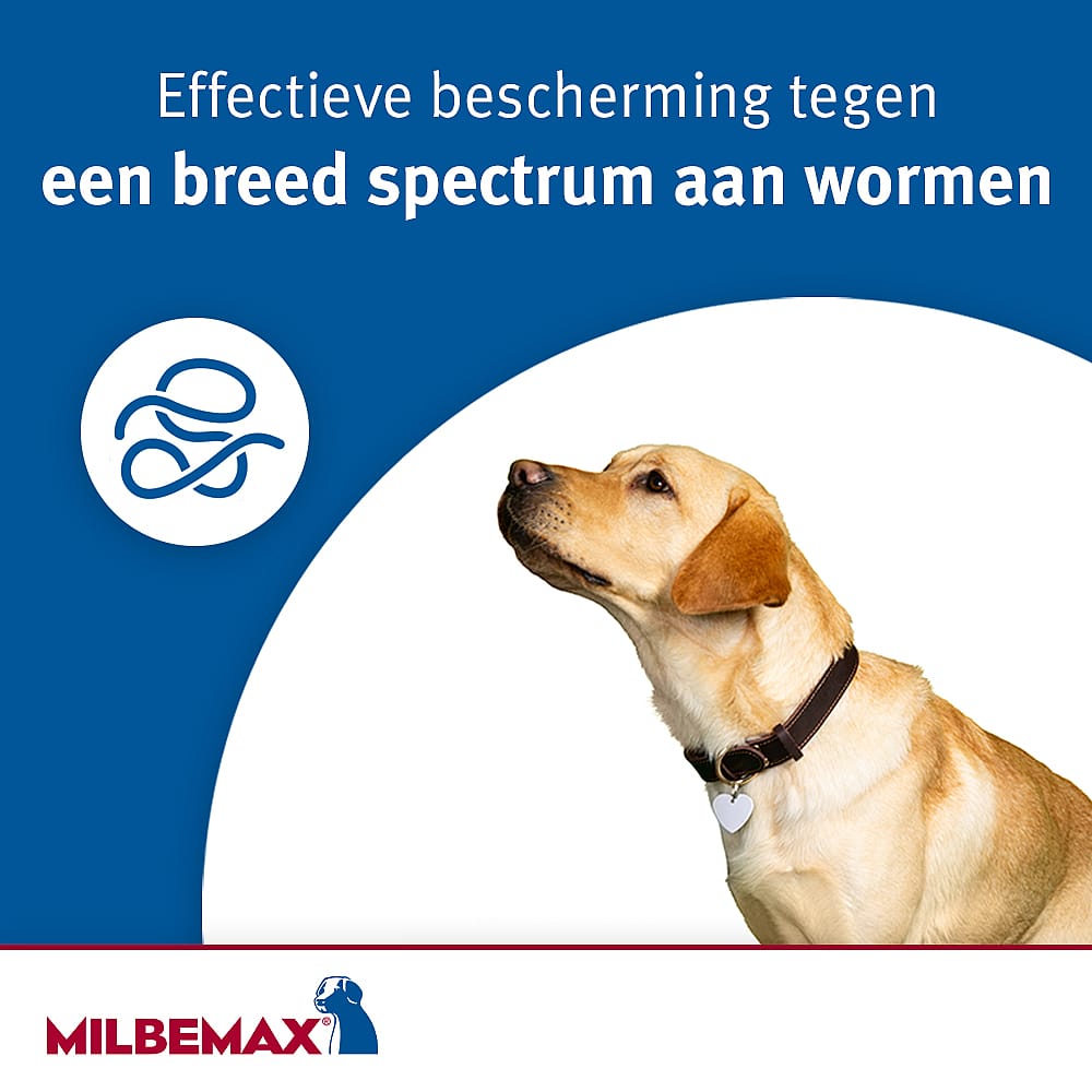 Milbemax ontworming voor honden