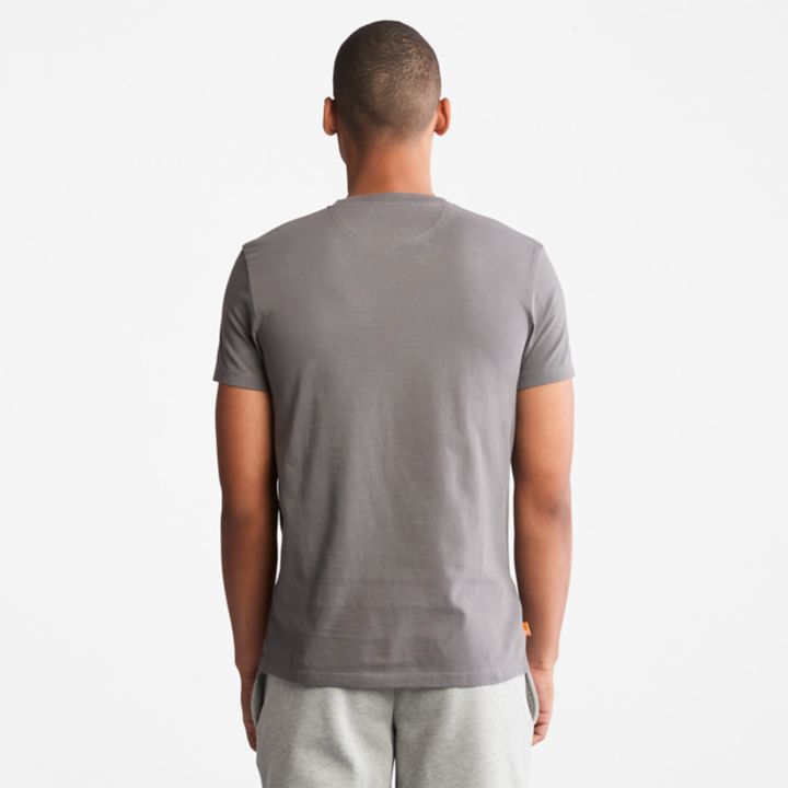 Camiseta Dunstan River Crewneck Masculina na cor Cinza