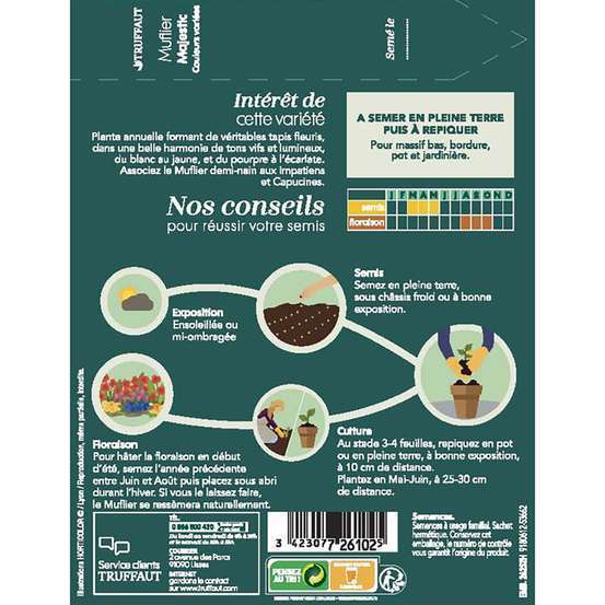 Muflier Majestic demi-nain varié : en sachet