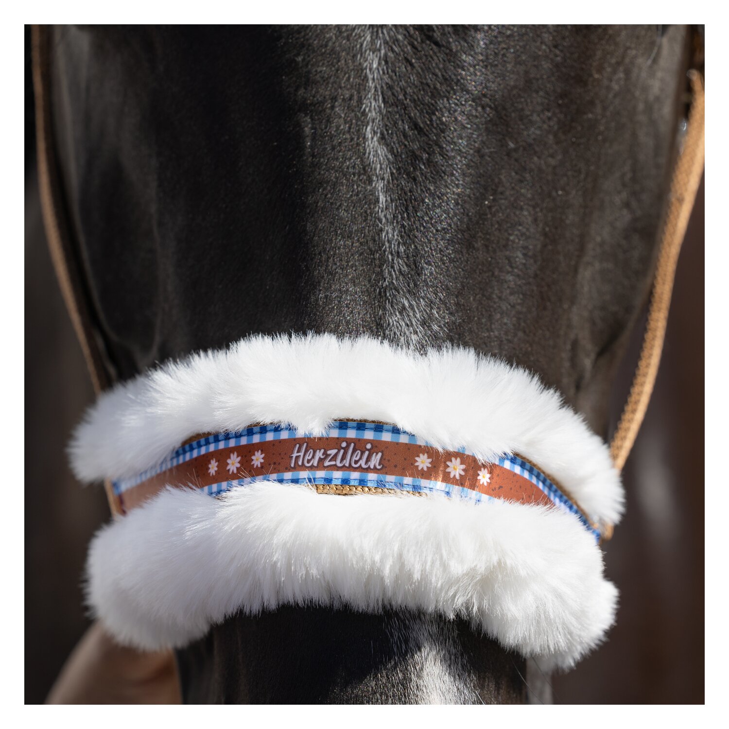 Horse-friends Halfter Herzilein  - zimt
