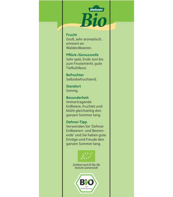 Bio Erdbeere, immertragend, 6er-Schale