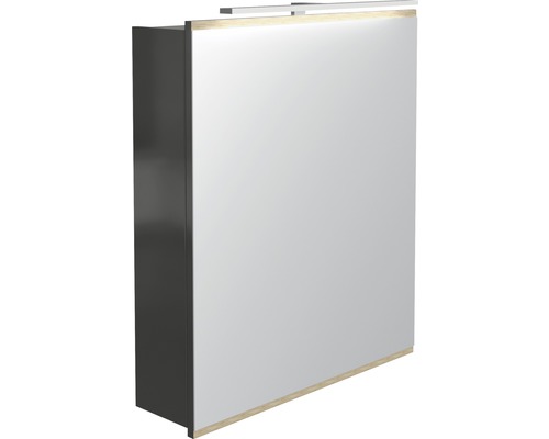 LED spiegelkast Miami Vice antraciet 60 x 70 x 15,5 cm