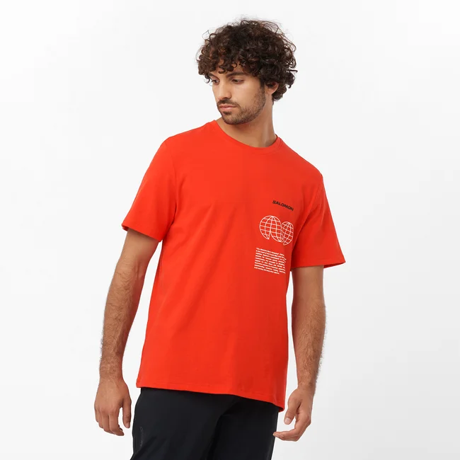 SALOMON GLOBE GRAPHIC  Kurzarmshirt Herren