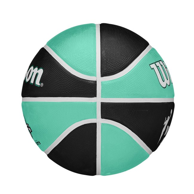 WNBA Tribute Basketball