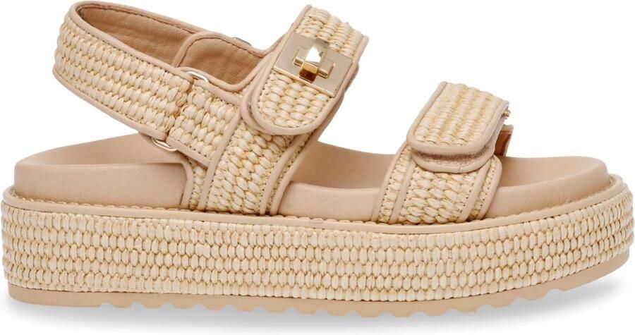 Steve Madden Bigmona Nat Raffi Dames Sandalen SM11003034-02002