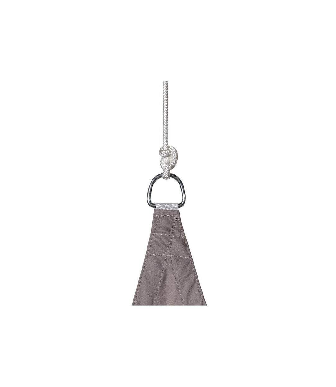 Toile solaire / Voile d'ombrage Curacao - 4 x 4 x 4 m. - Taupe