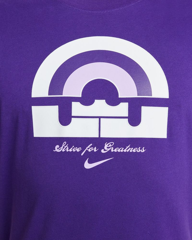 T-shirt de basket Nike Lebron Violet pour homme