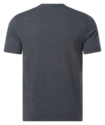 T-Shirt Reebok Identity Big Logo Gris